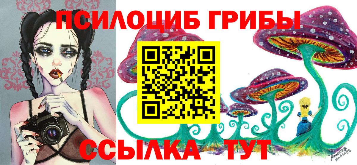 Галлюциногенные грибы Psilocybe Кондопога